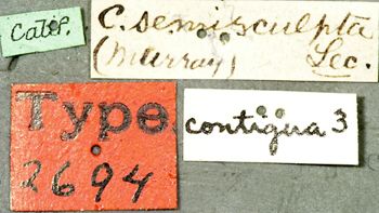 Media type: image;   Entomology 2694 Aspect: labels